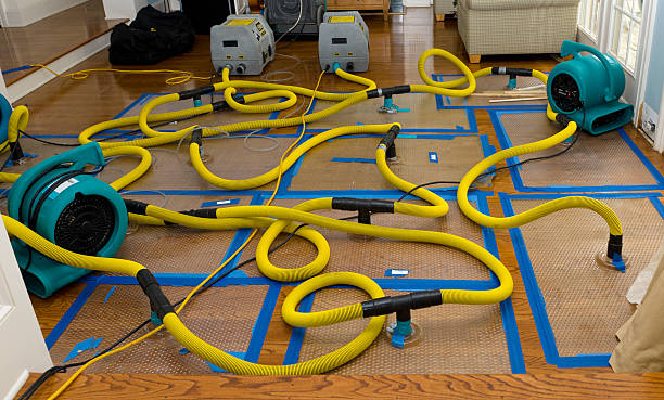 Professional Water Damage Restoration technician working in Ohio City, OH